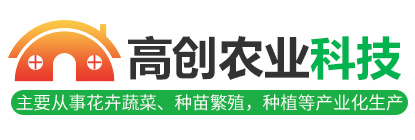 山東振宇鋼結(jié)構(gòu)網(wǎng)架有限公司